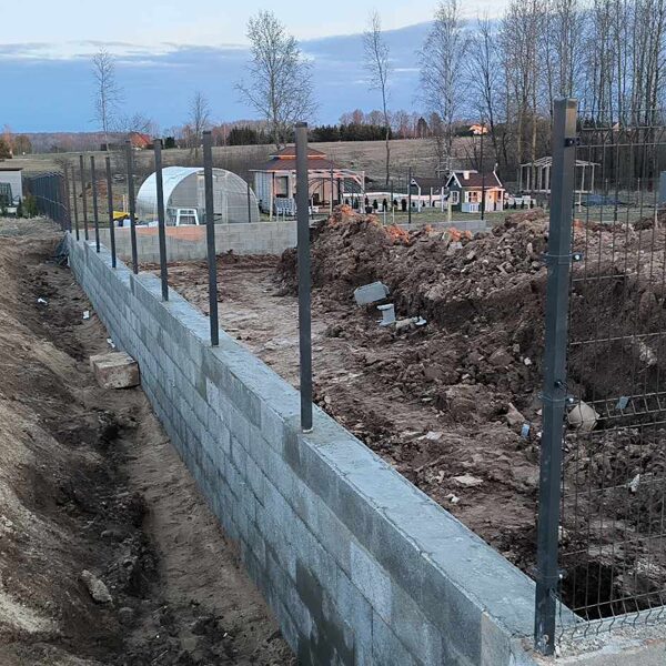 hause atraminės sienutes